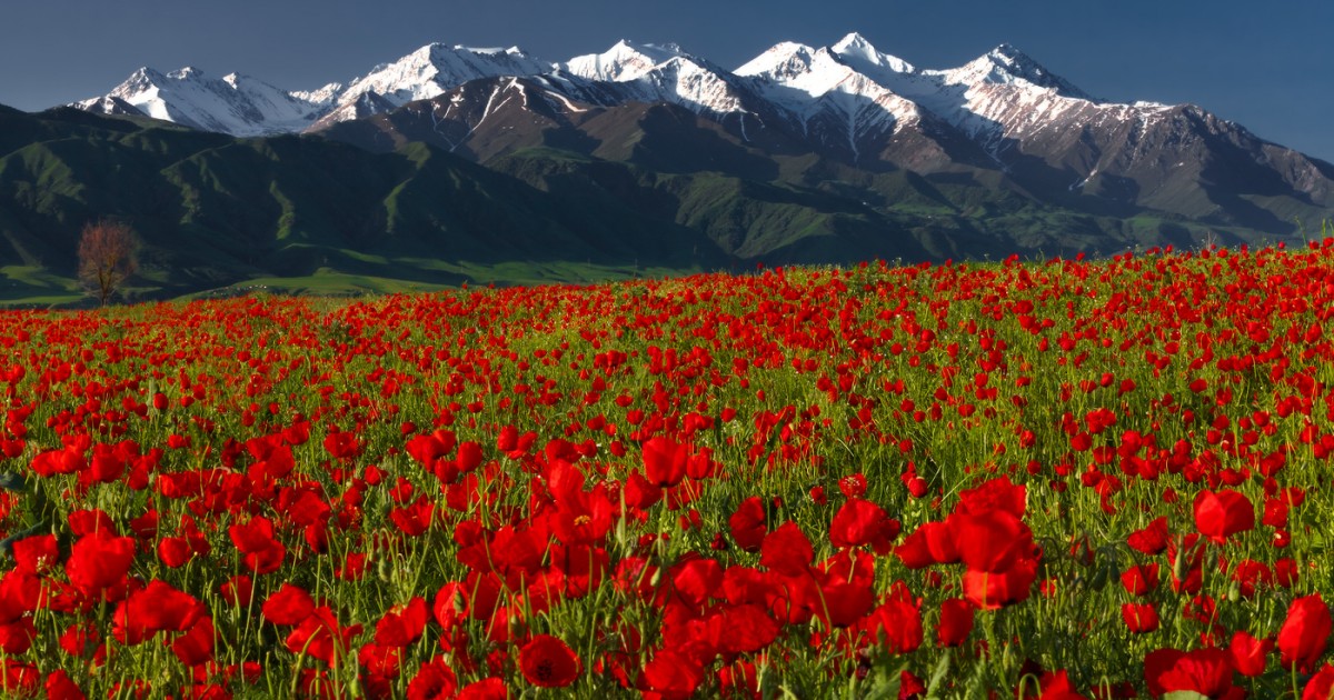 10 facts about Kyrgyzstan . | OUTLOOK