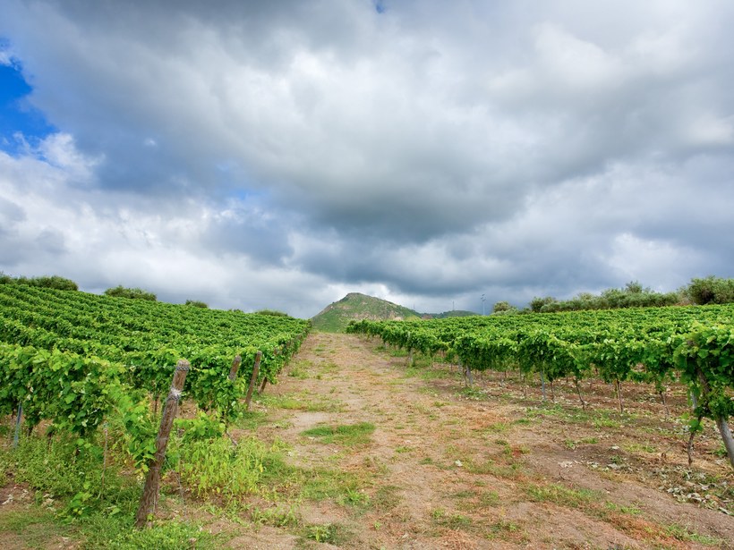 wine-etna-GettyImages-154228222.jpg