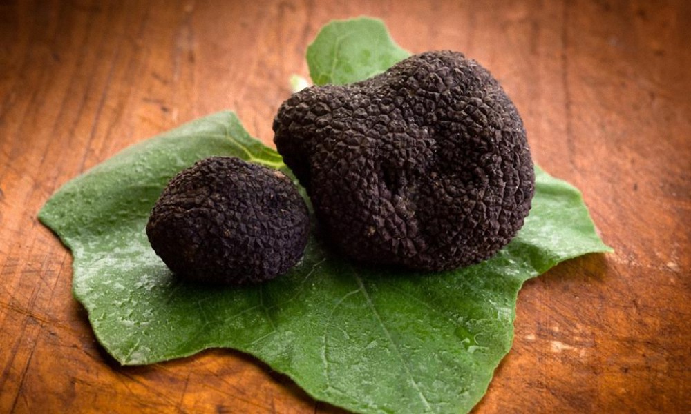 In Umbria the black truffles fair is held. | OUTLOOK