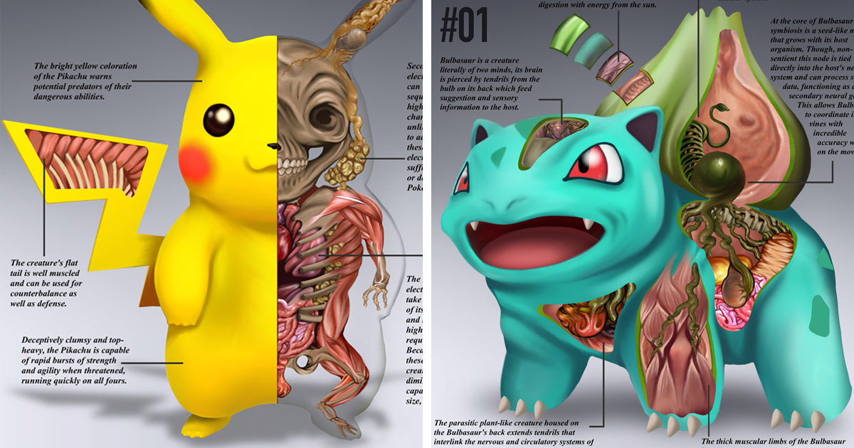 American illustrator offered to watch the anatomy of pokemons. | OUTLOOK