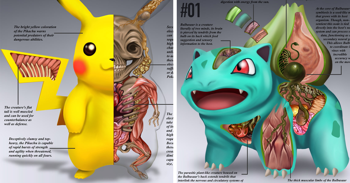 American Illustrator Offered To Watch The Anatomy Of Pokemons Outlook