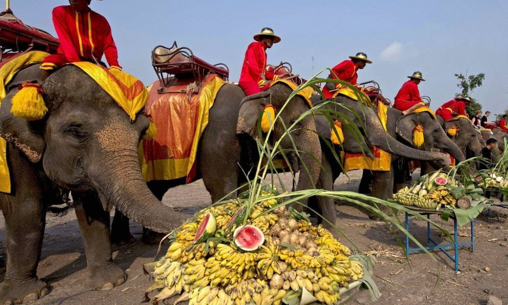 National Day of the Thai Elephant. | OUTLOOK
