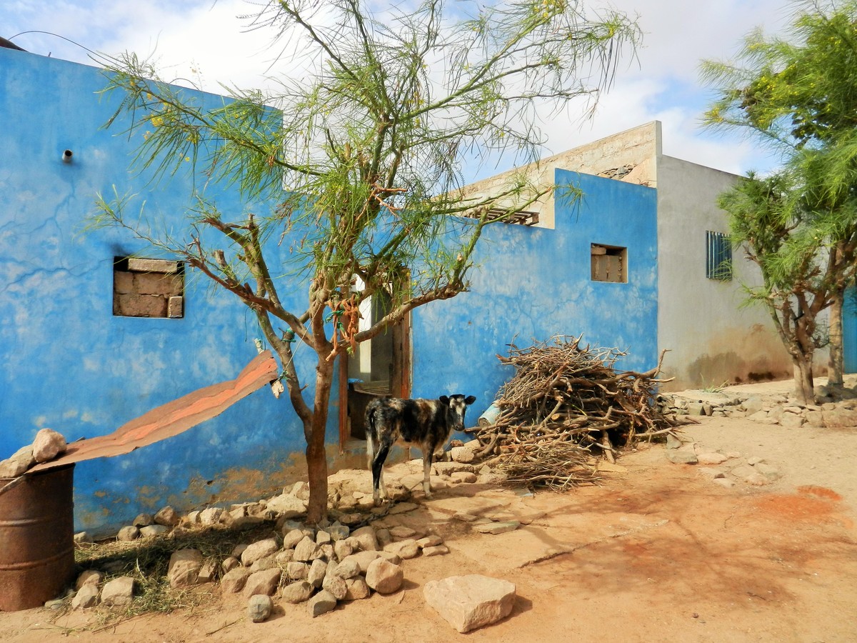 Cape_Verde_Boa_Vista_Rustic.jpg