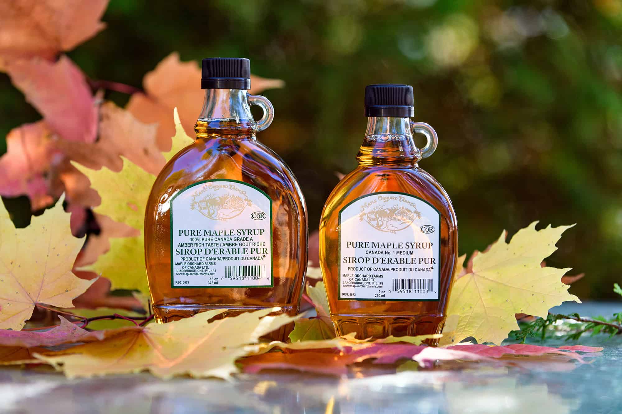 Maple. Кленовый сироп Maple Syrup. Американский кленовый сироп Мэйпл. Кленовый сироп Канада. Maple сироп канадский.