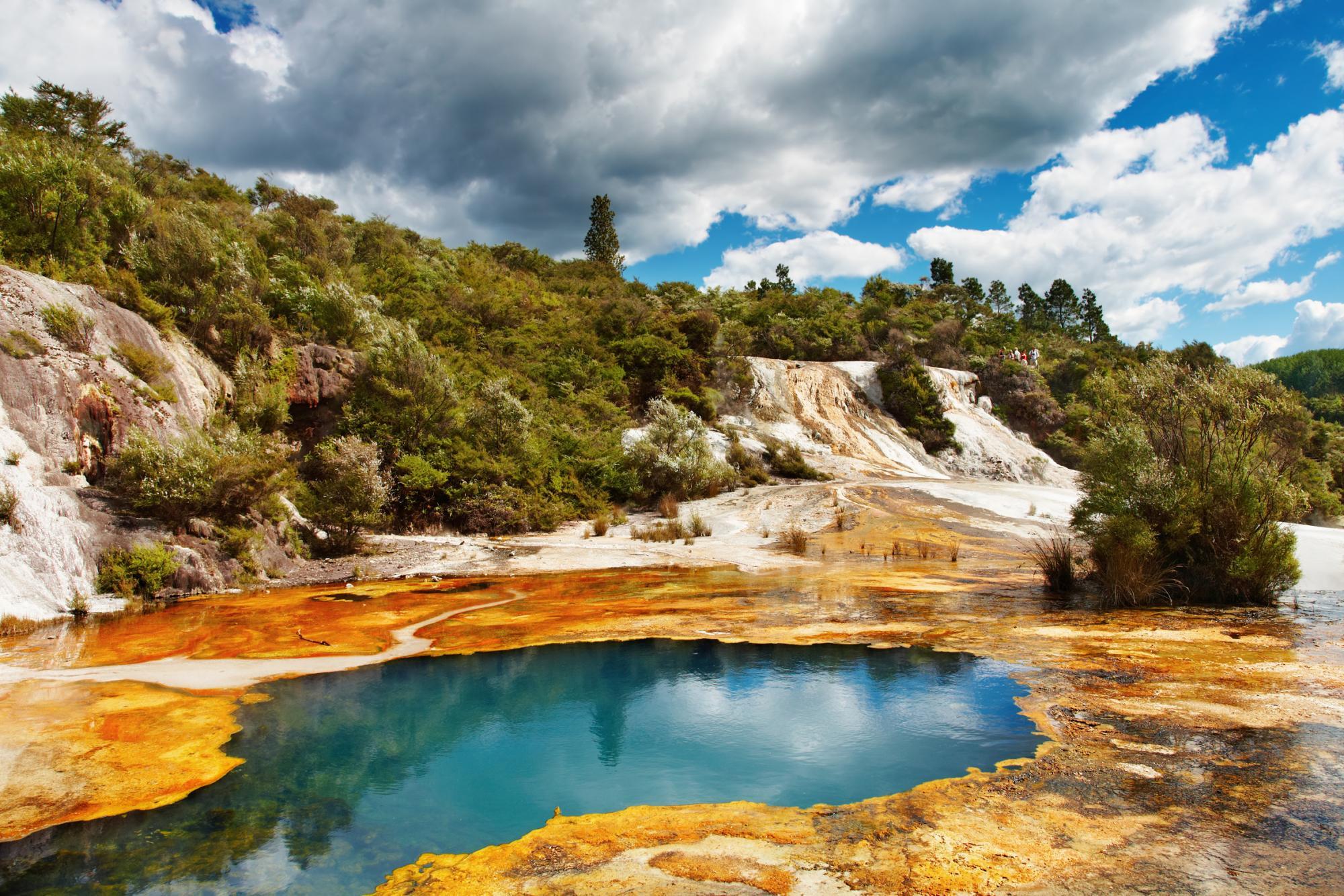 New_Zealand_Rotorua_Tour_Hot_Springs_qantas_latitude.jpg