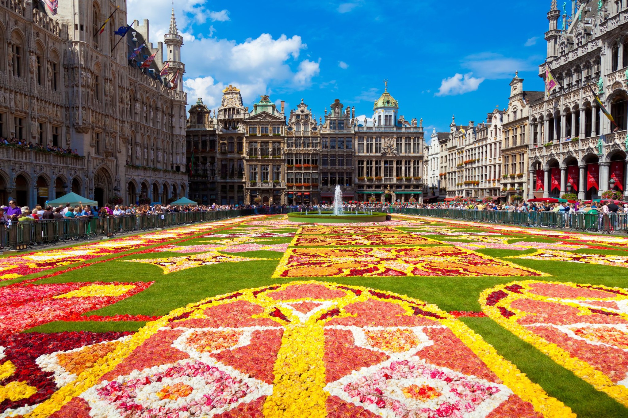 Floral-carpet-on-the-Grand-Place-Square-Brussels-Belgium.jpg