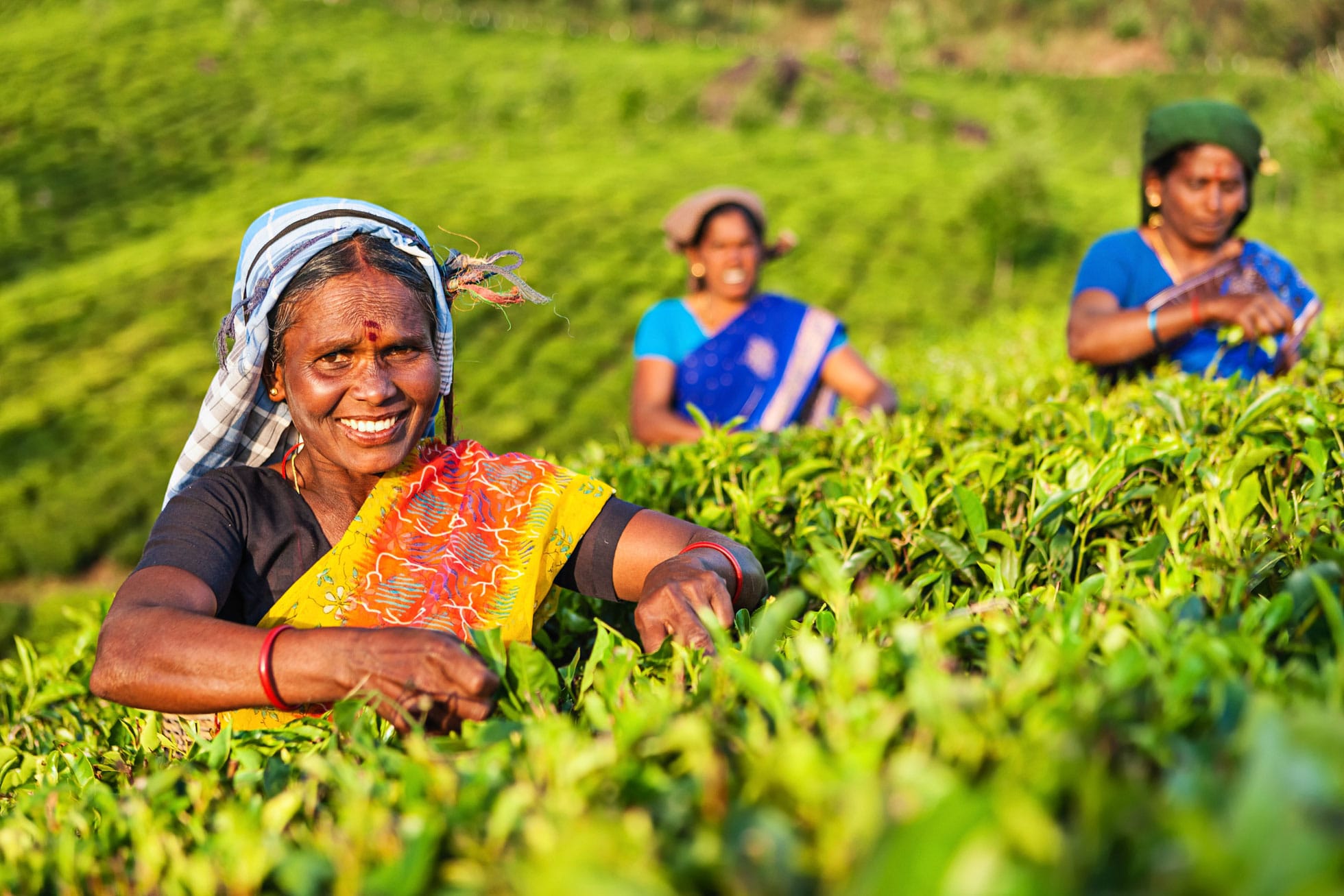 India-GettyImages-504889934.jpg