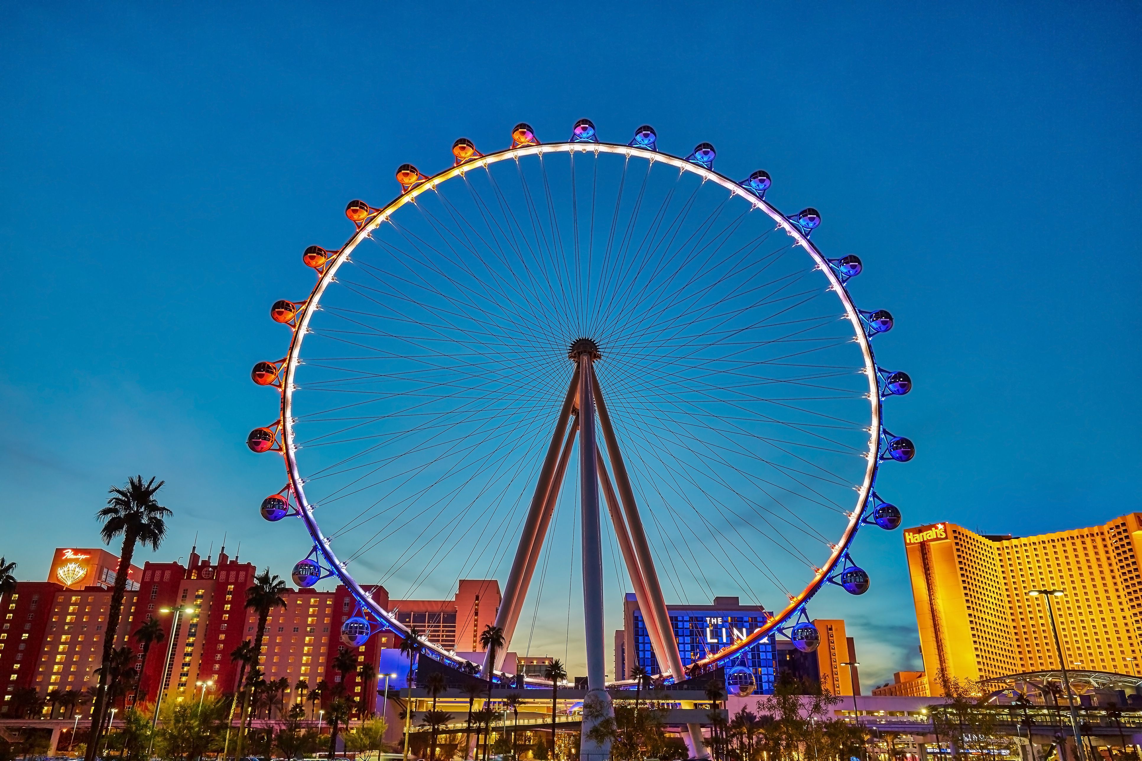 Here's how Ferris wheel idea has fared elsewhere