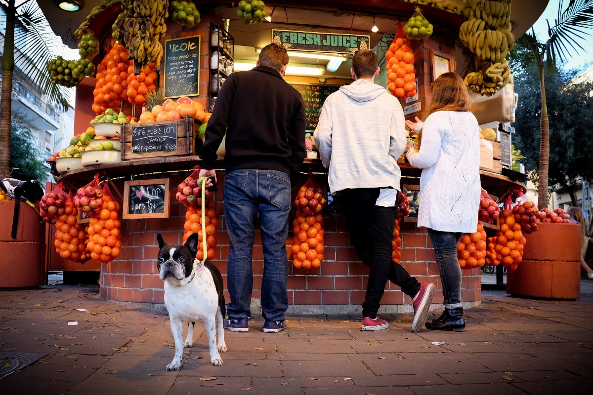 street_dog_fruits_israel_stand_telaviv_fuji_bulldog-308934.jpg!d.jpeg