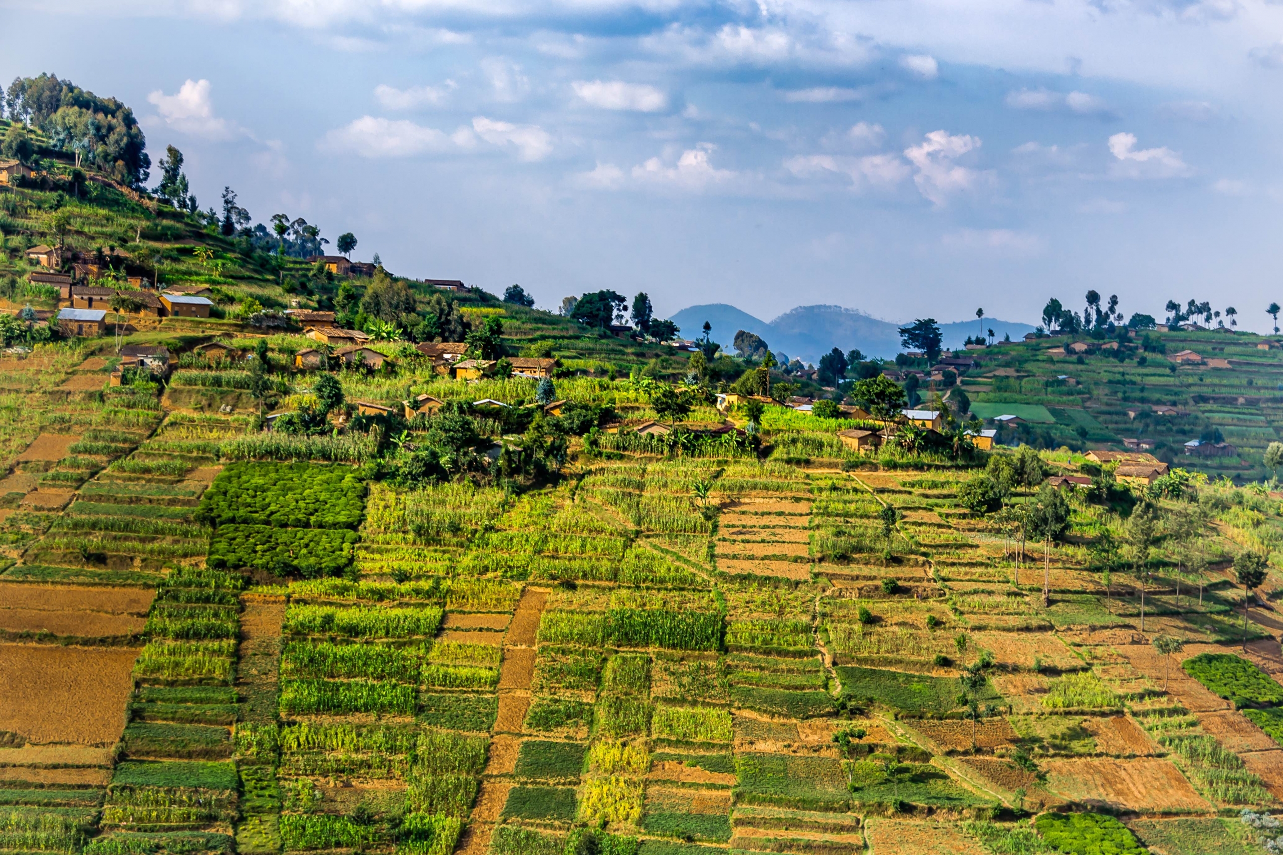 rwanda-africa-scaled.jpg